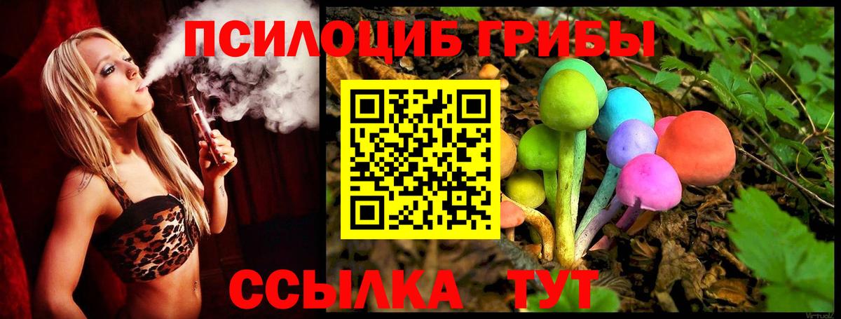 Сыктывкар  Галлюциногенные грибы Psilocybine cubensis  Вход с VPN 
