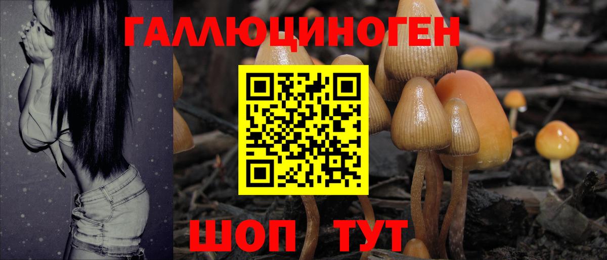Галлюциногенные грибы Magic Shrooms Сыктывкар